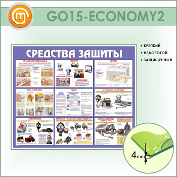    (GO-15-ECONOMY2)